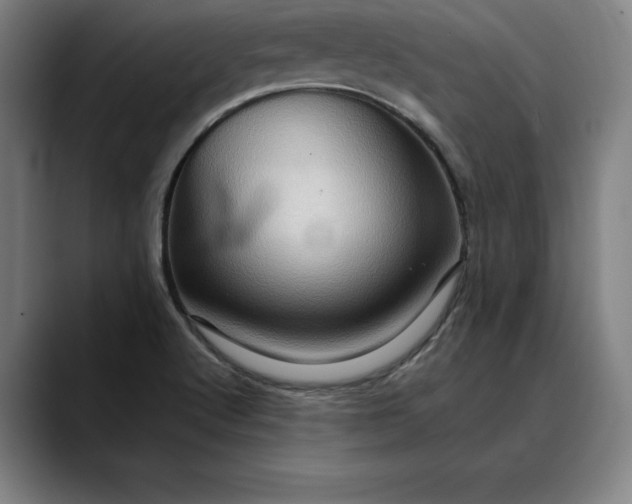 X0000088671512200706141327