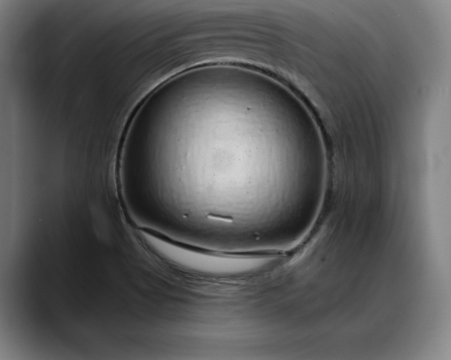 X0000088671513200706141327