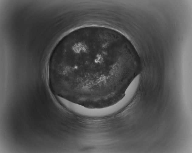 X0000088671515200706141327