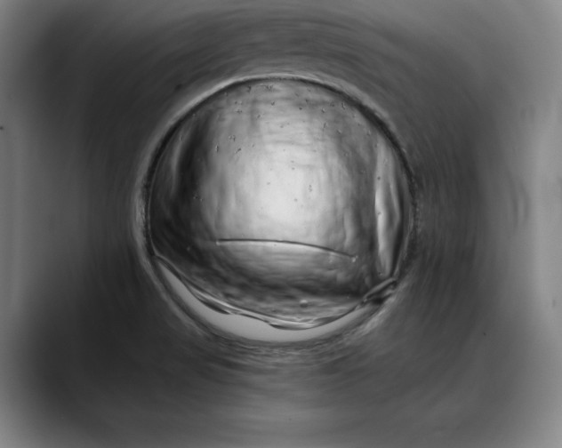 X0000088671517200706141327