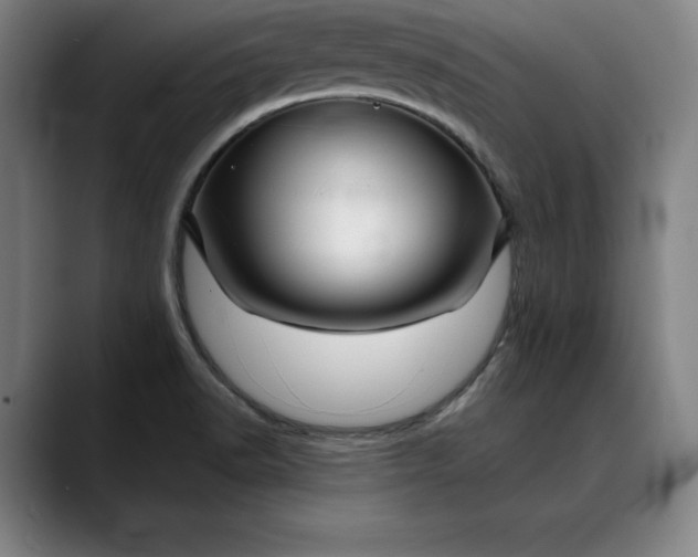 X0000088671518200706141327