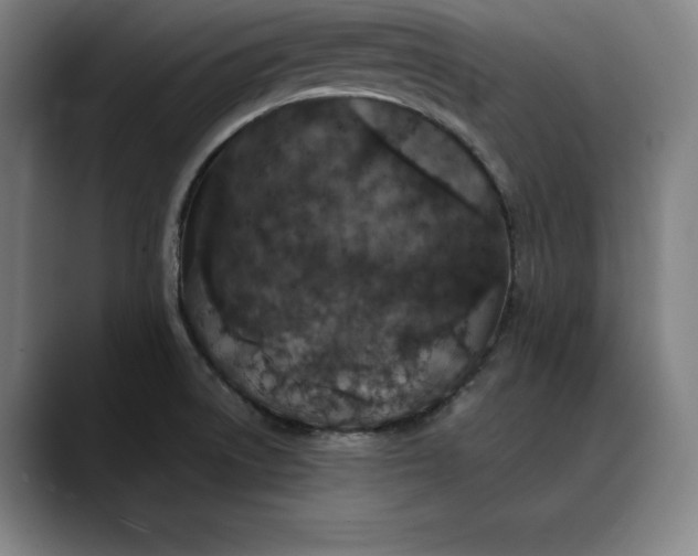 X0000088671522200706141327