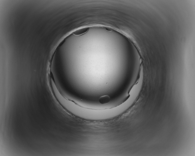 X0000088671524200706141327