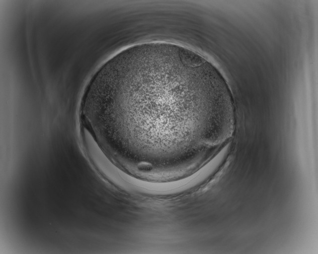 X0000088671525200706141327