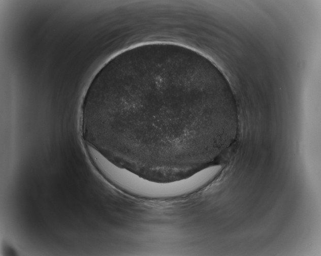 X0000088671527200706141327