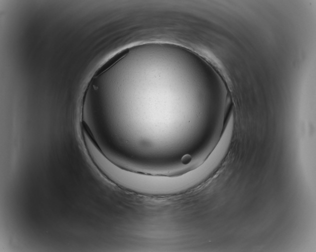 X0000088671528200706141327