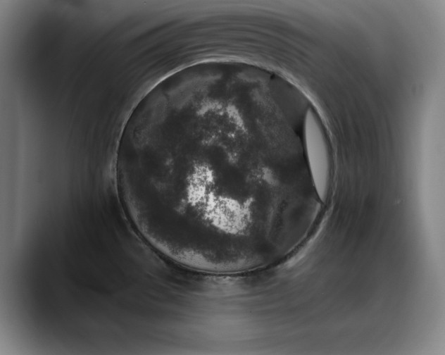 X0000088671529200706141327