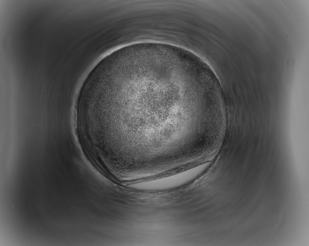 X0000088671531200706141327