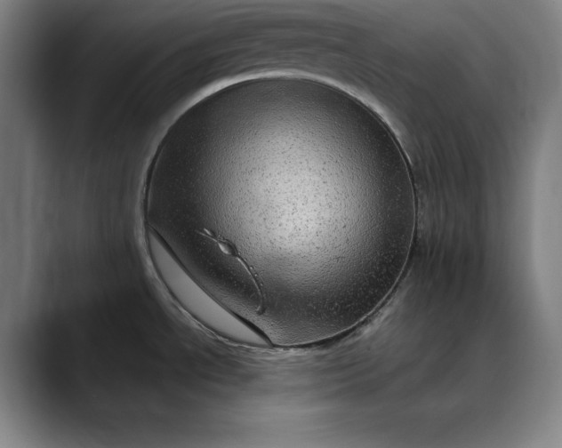 X0000088671534200706141327