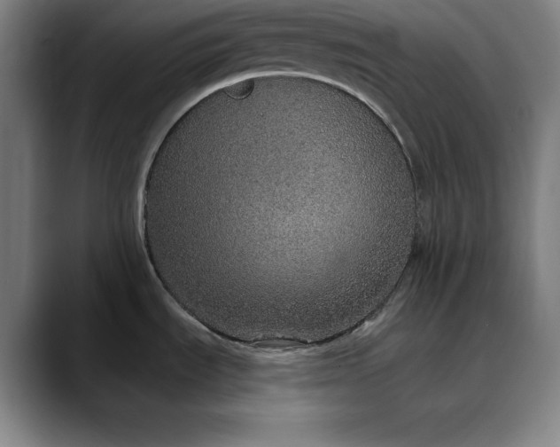 X0000088671535200706141327