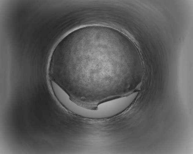 X0000088671536200706141327
