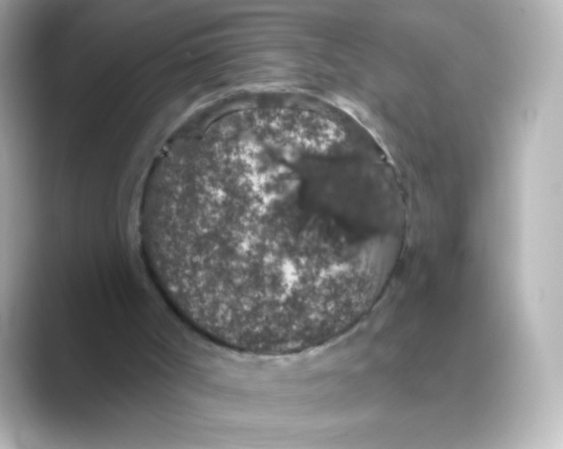 X0000088670002200706211859