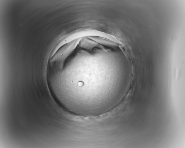 X0000088670003200706211859