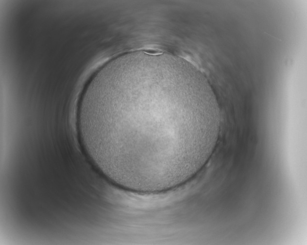 X0000088670006200706211859