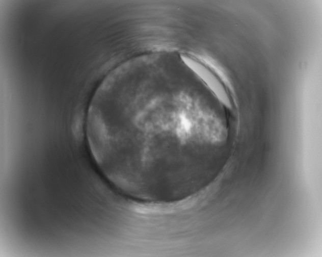 X0000088670009200706211859