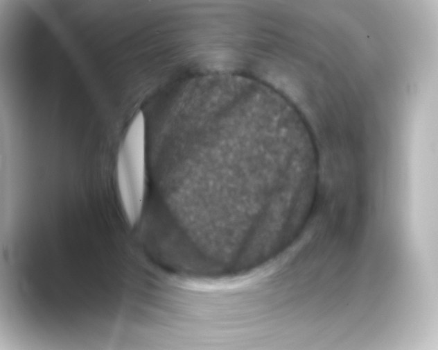 X0000088670017200706211859