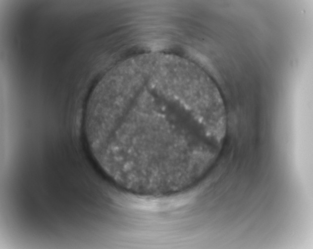 X0000088670018200706211859