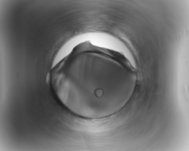 X0000088670019200706211859