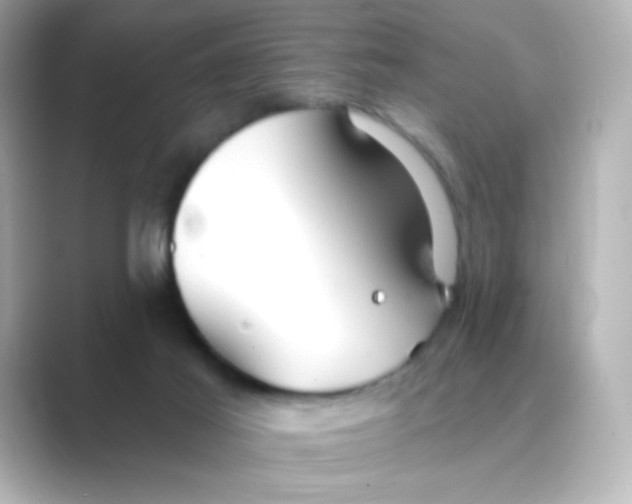 X0000088670021200706211859