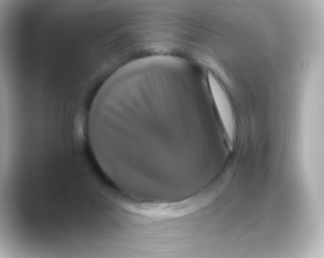 X0000088670023200706211859