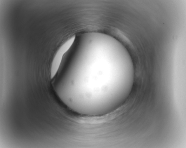 X0000088670025200706211859