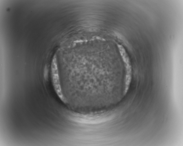 X0000088670026200706211859