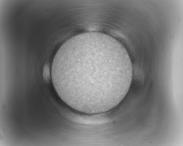 X0000088670028200706211859