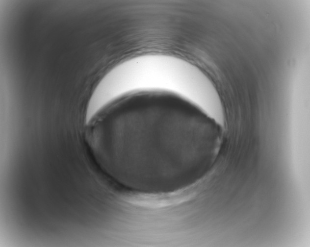 X0000088670029200706211859