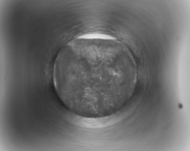 X0000088670030200706211859