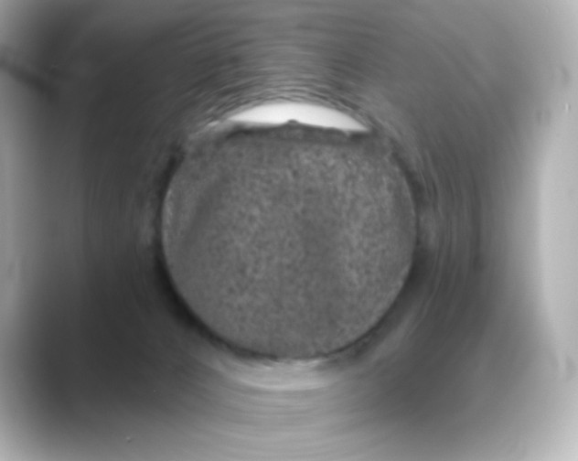 X0000088670032200706211859