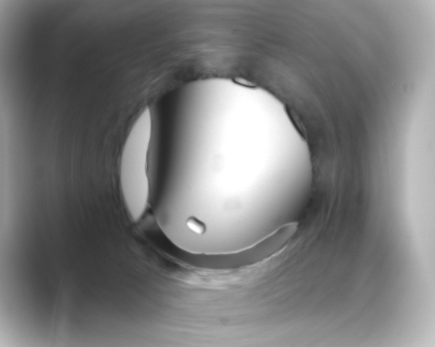 X0000088670033200706211859
