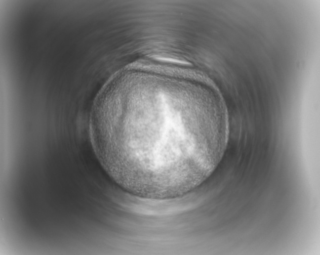 X0000088670034200706211859