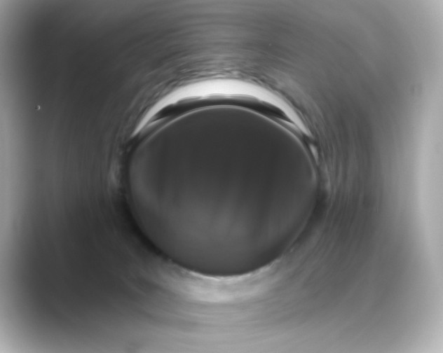 X0000088670035200706211859