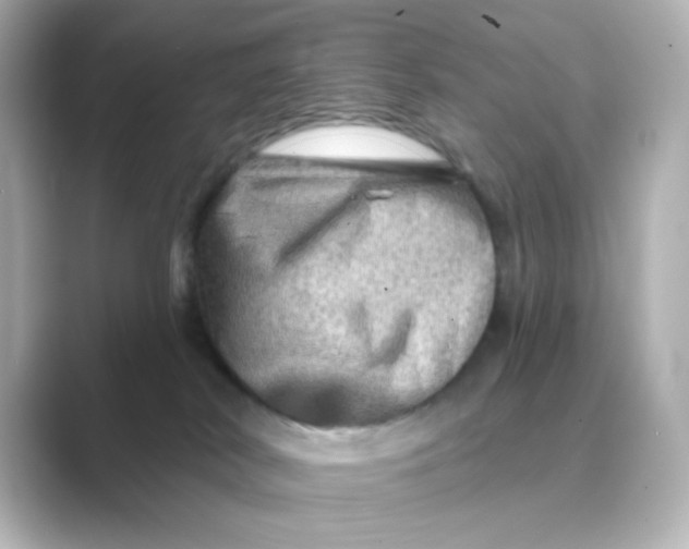 X0000088670038200706211859
