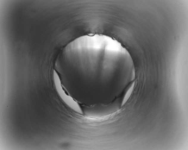 X0000088670039200706211859