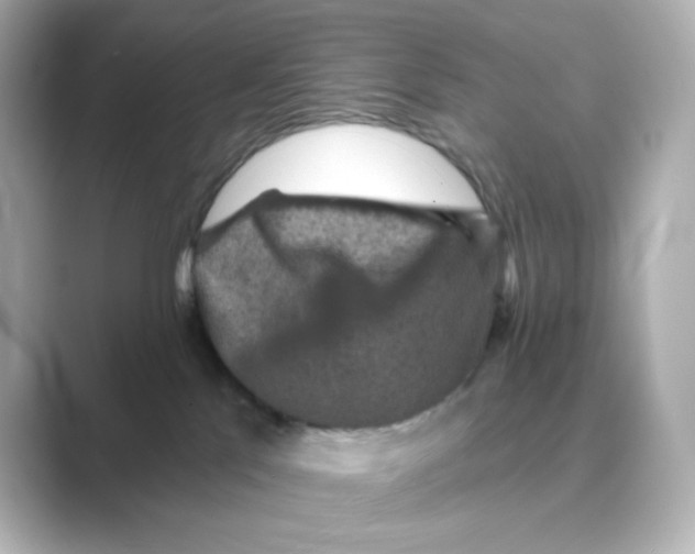 X0000088670041200706211859