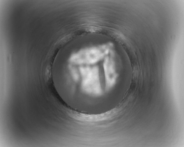 X0000088670043200706211859
