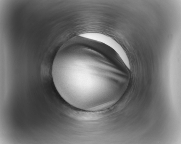 X0000088670044200706211859