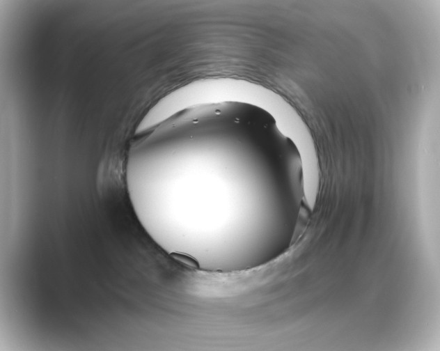 X0000088670045200706211859