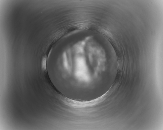 X0000088670047200706211859