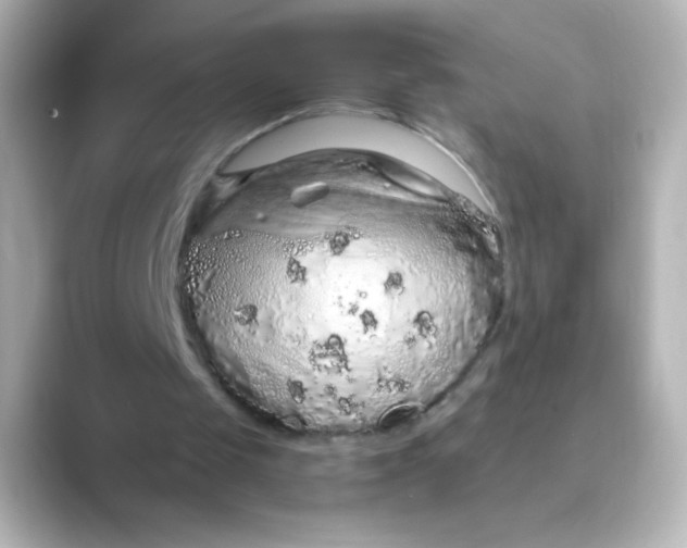X0000088670049200706211858