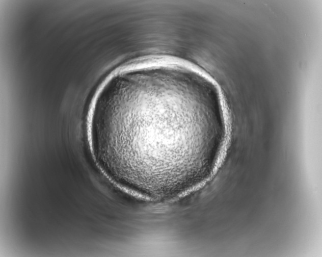 X0000088670050200706211858