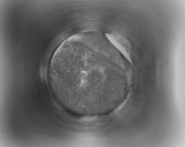 X0000088670051200706211858