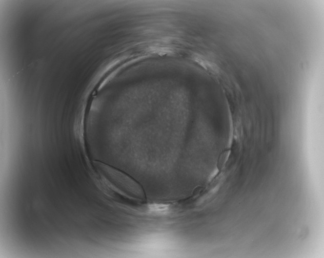 X0000088670052200706211858