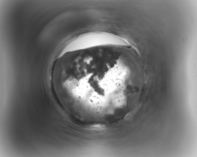 X0000088670053200706211858