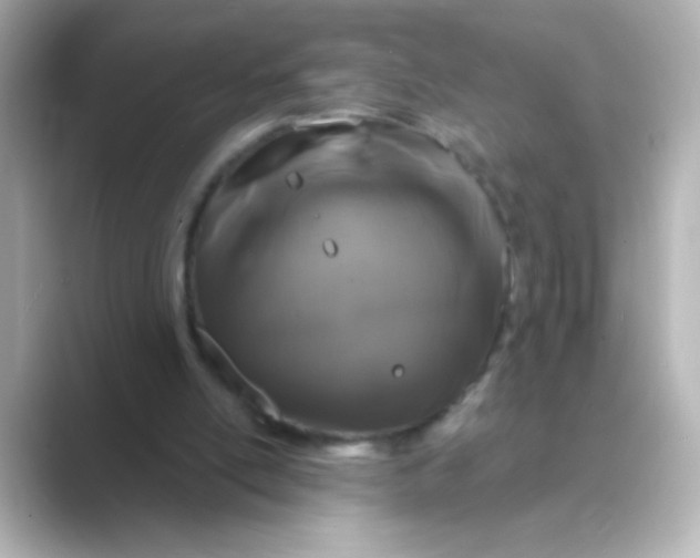 X0000088670054200706211858