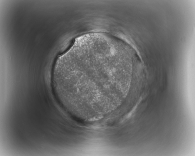 X0000088670055200706211858
