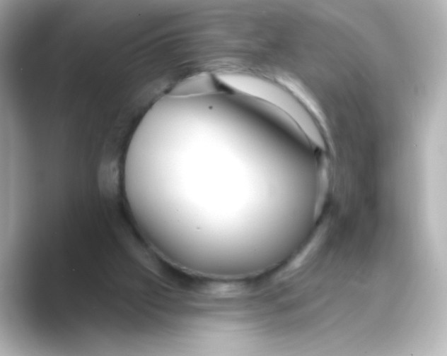 X0000088670057200706211858