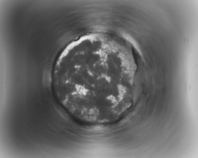 X0000088670059200706211858