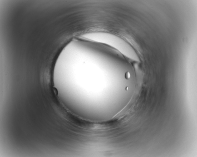 X0000088670060200706211858